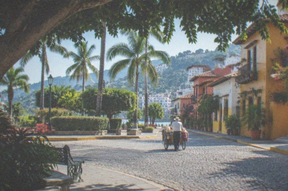 Palm-lined street corner with colorful buildings in a walkable neighborhood by day