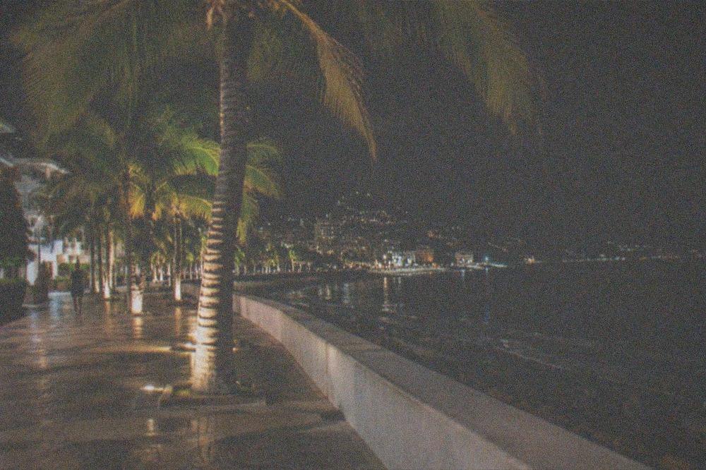Illuminated oceanfront promenade at night with lit palm trees and calm water beyond