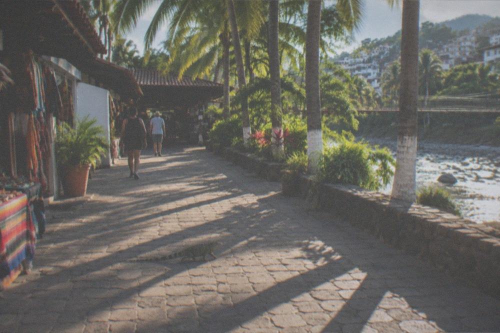 River island walkway with palm trees and market entrance in late afternoon light