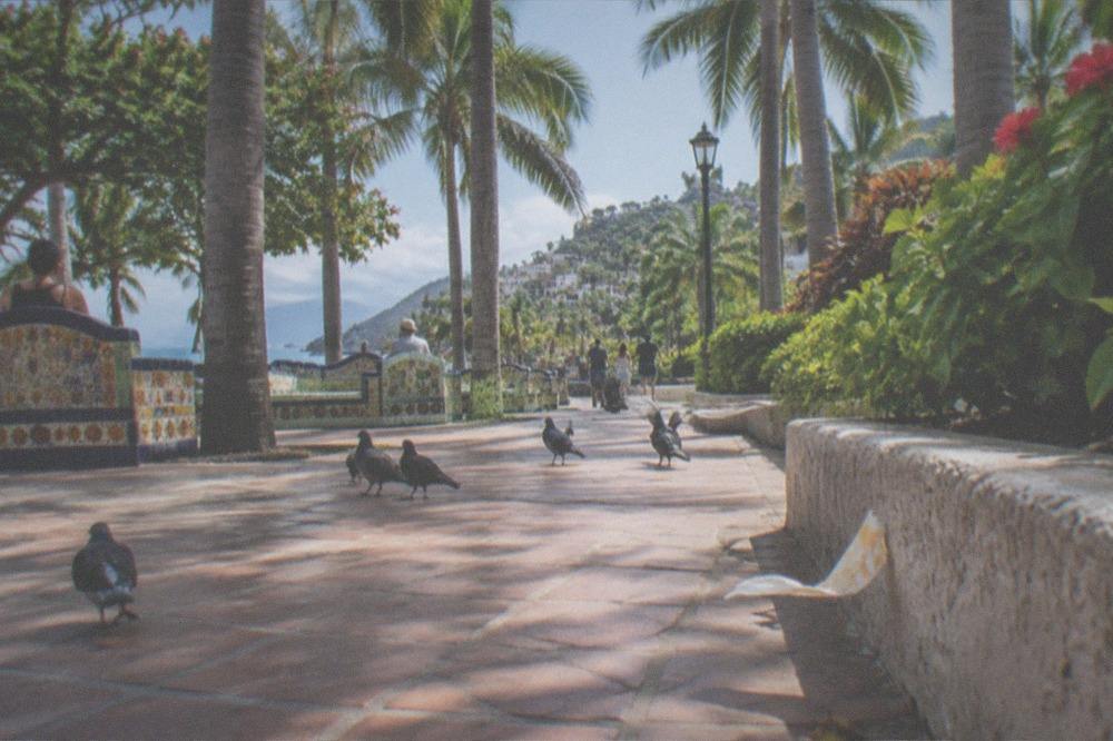 Plaza with tiled walkway, palm trees and benches in a Puerto Vallarta neighborhood