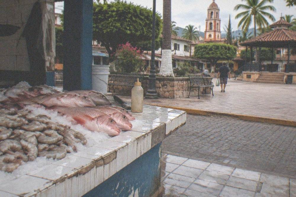 Small neighborhood marisqueria counter with shrimp and fish on ice